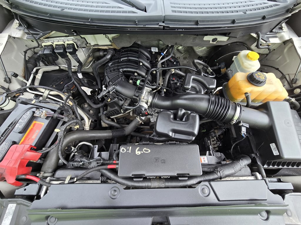 2014 Ford F-150 Image 16