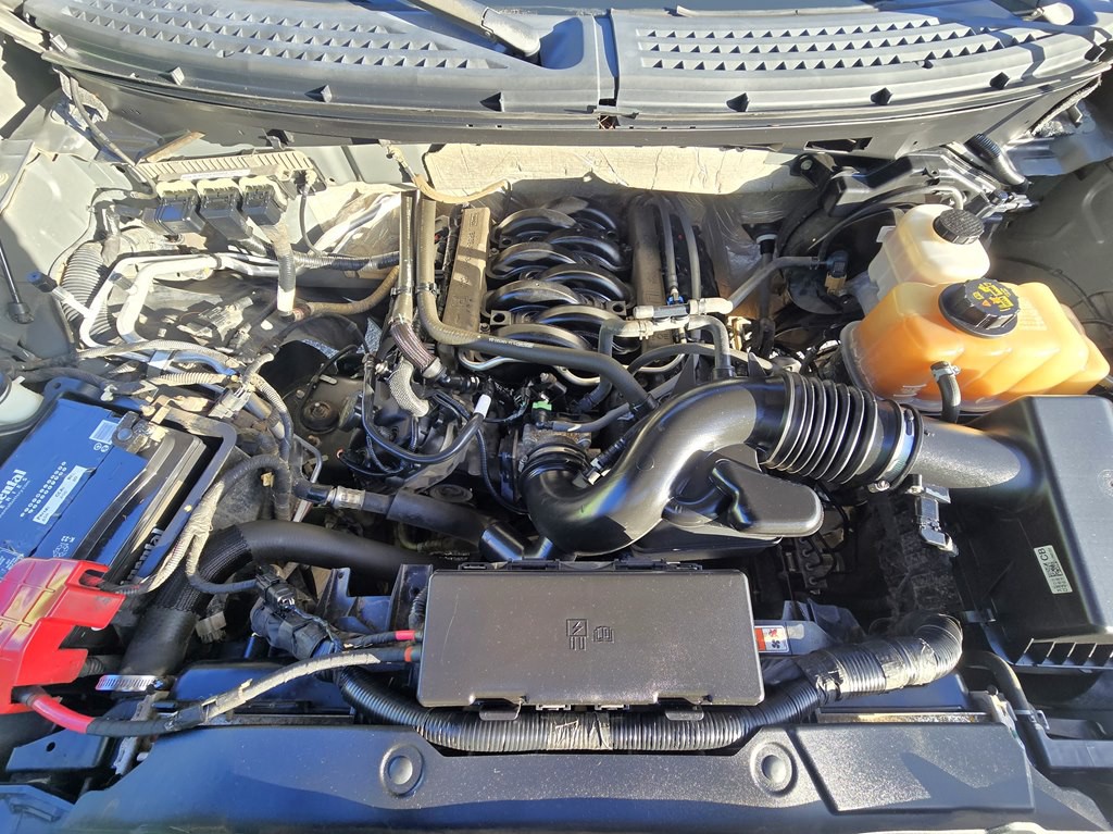 2013 Ford F-150 Image 20