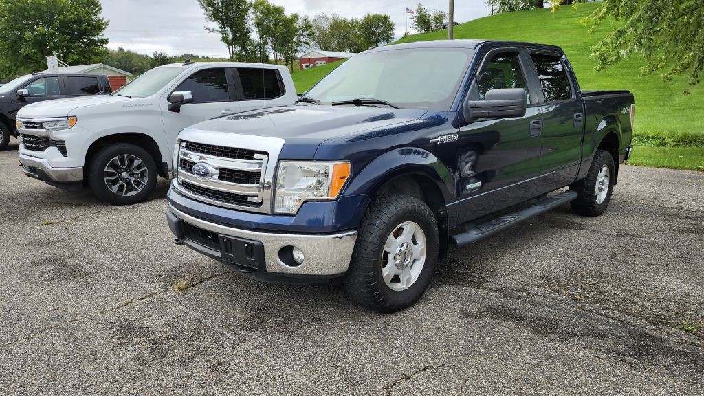 2014 Ford F-150 Image 1