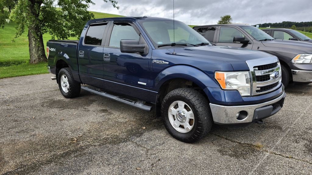 2014 Ford F-150 Image 3