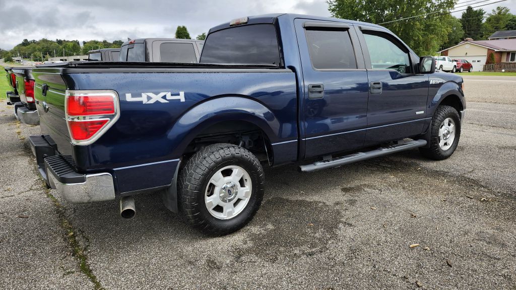 2014 Ford F-150 Image 4