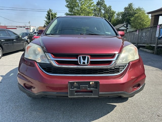 2010 Honda CR-V Image 8