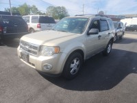 Image for 2012 Ford Escape XLT ID: 6893719