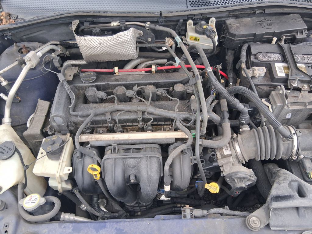 2008 Ford Focus Image 13