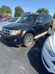 Image for 2010 Ford Escape XLT ID: 6782469