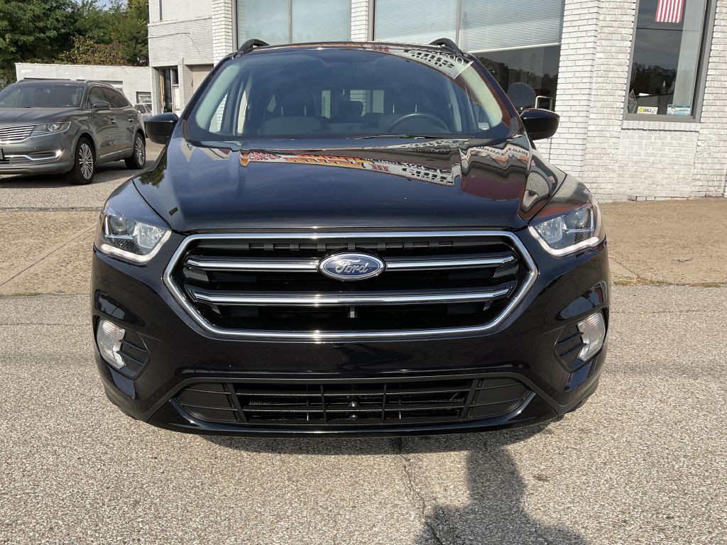 2019 Ford Escape Image 4