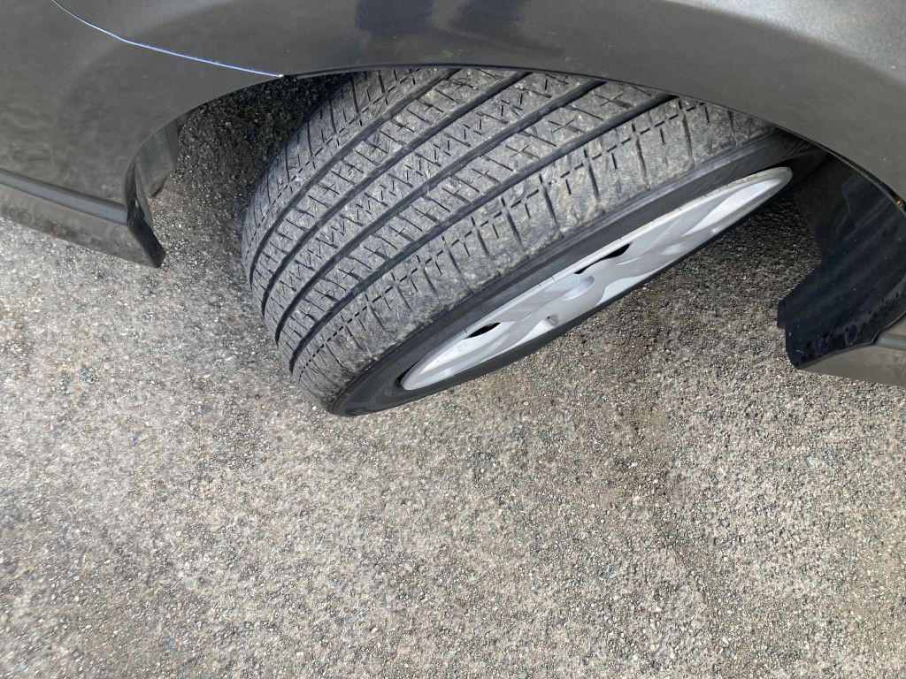 2010 Honda Civic Image 13