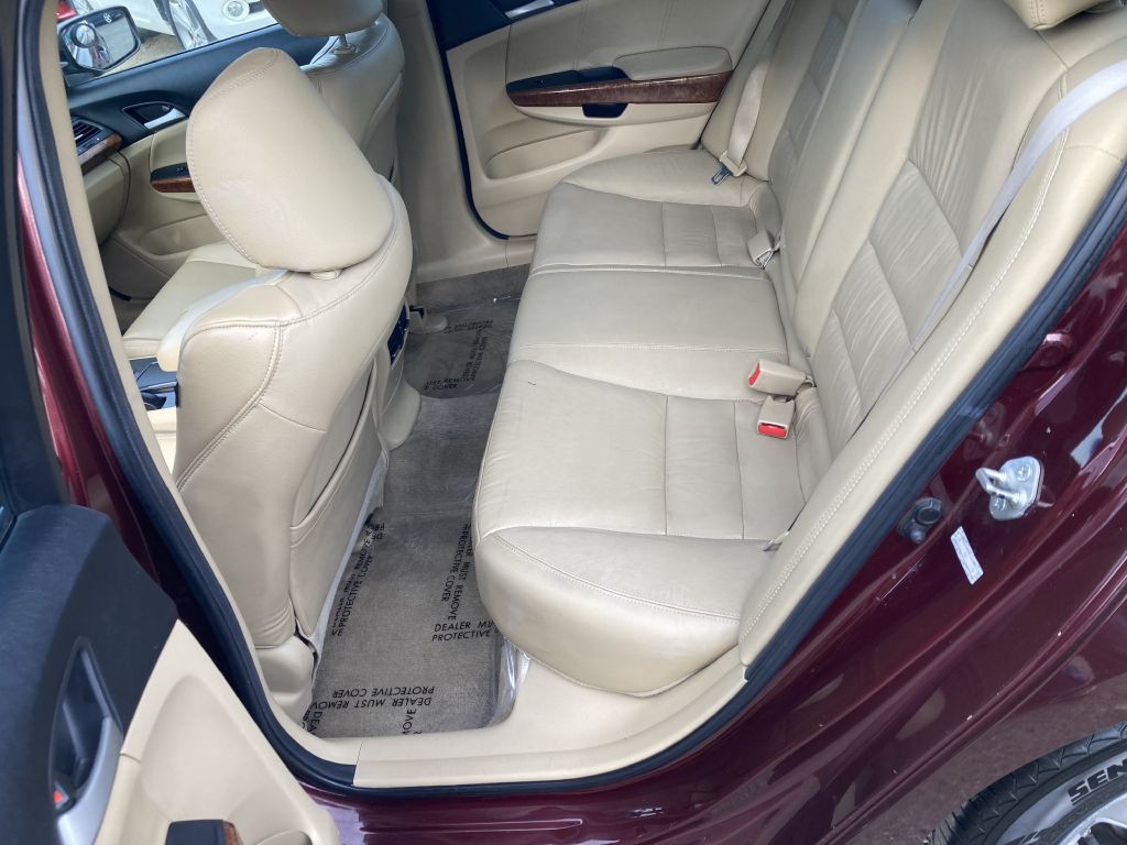 2011 Honda Accord Image 14