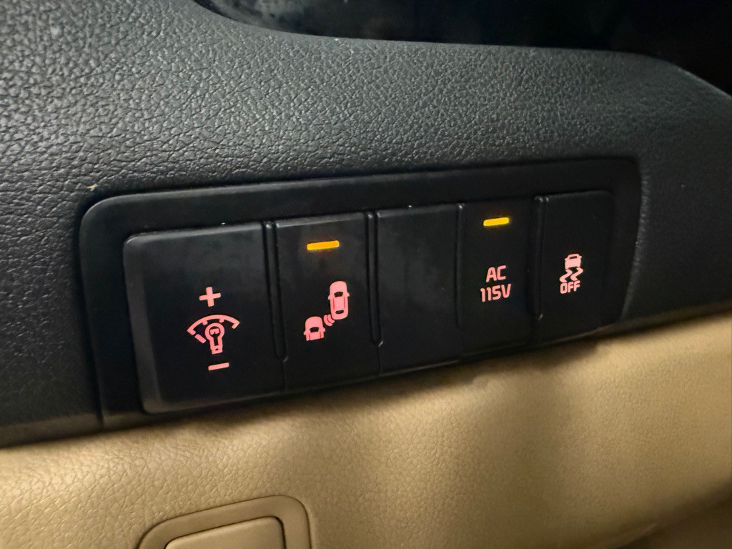2015 Kia Sedona Image 13