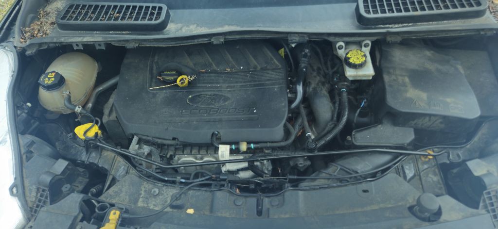 2018 Ford Escape Image 12