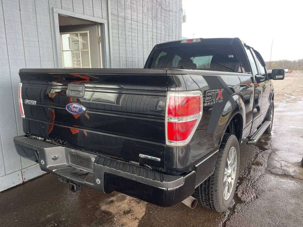 2014 Ford F-150 Image 1