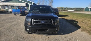 Image for 2013 Ford F-150 Supercrew ID: 7738138