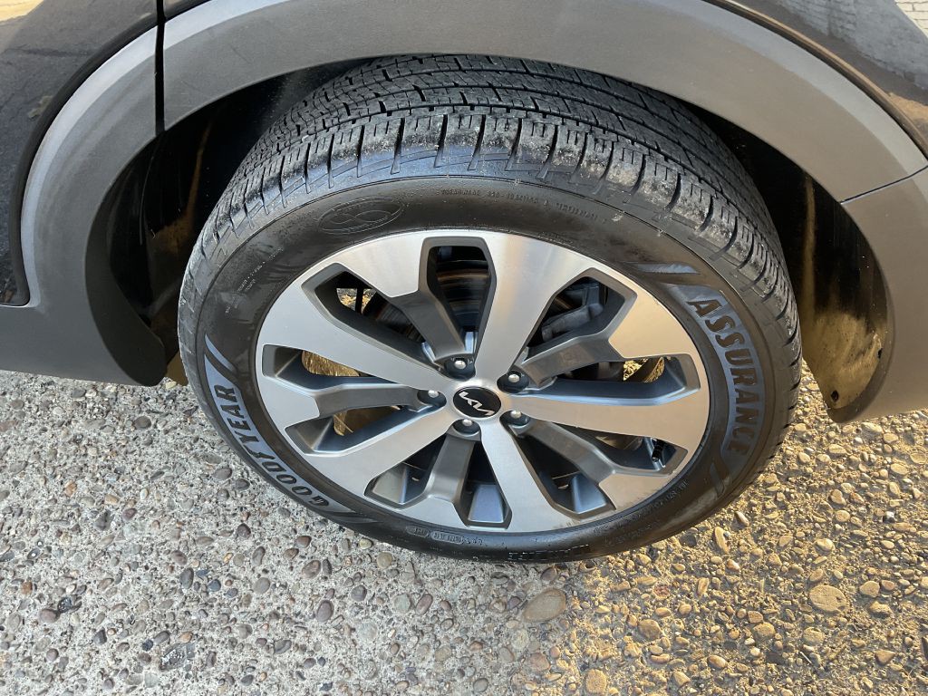 2022 Kia Telluride Image 10