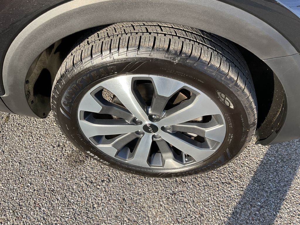 2022 Kia Telluride Image 11