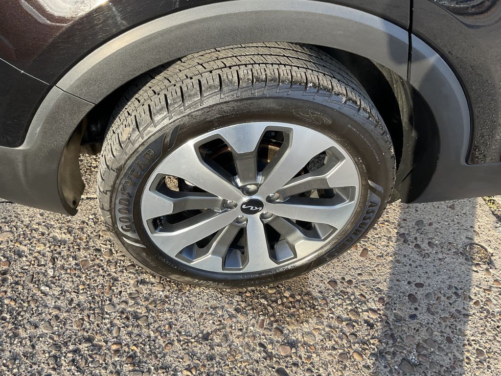 2022 Kia Telluride Image 12