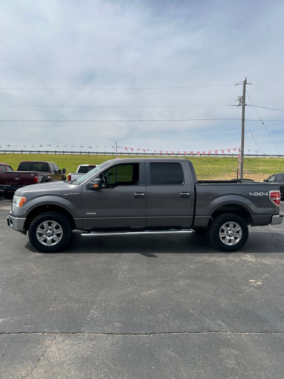 2011 Ford F-150 Image 3