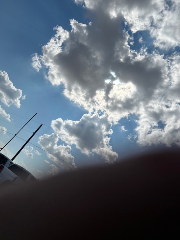 1984 Chevrolet Corvette Image 12