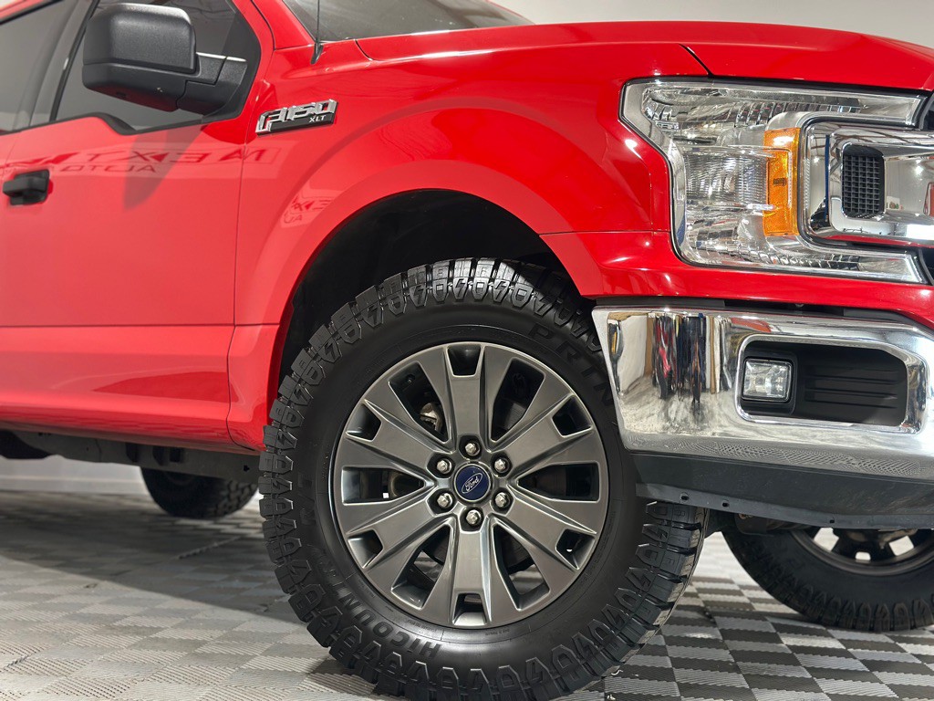 2019 Ford F-150 Image 3