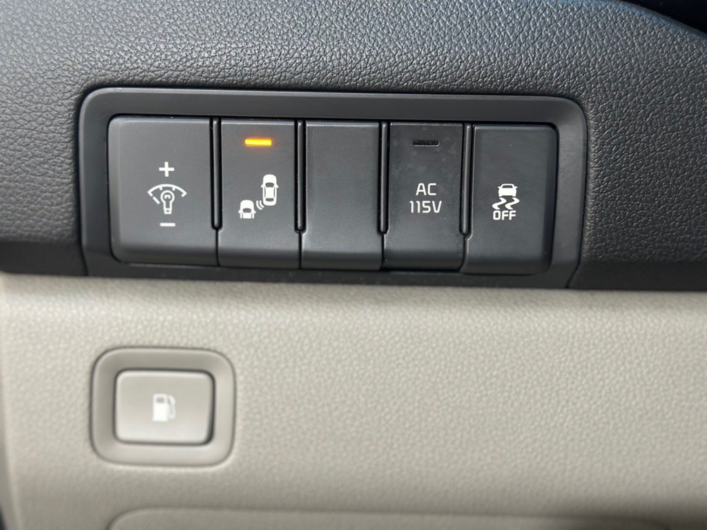 2016 Kia Sedona Image 28
