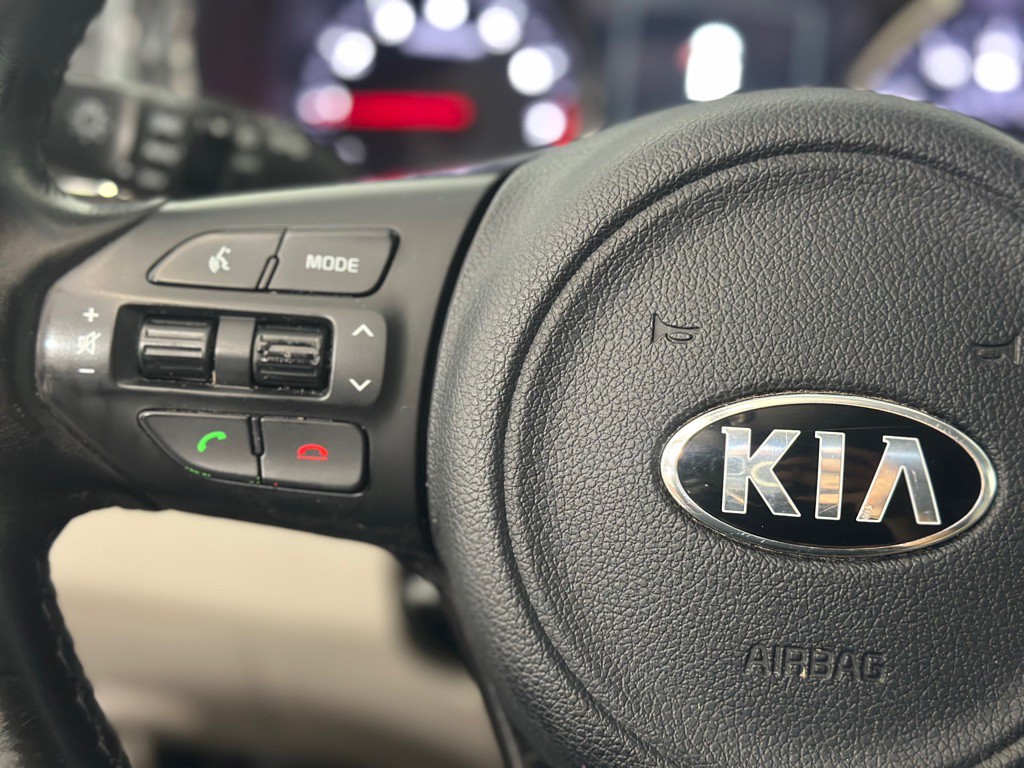 2016 Kia Sedona Image 37