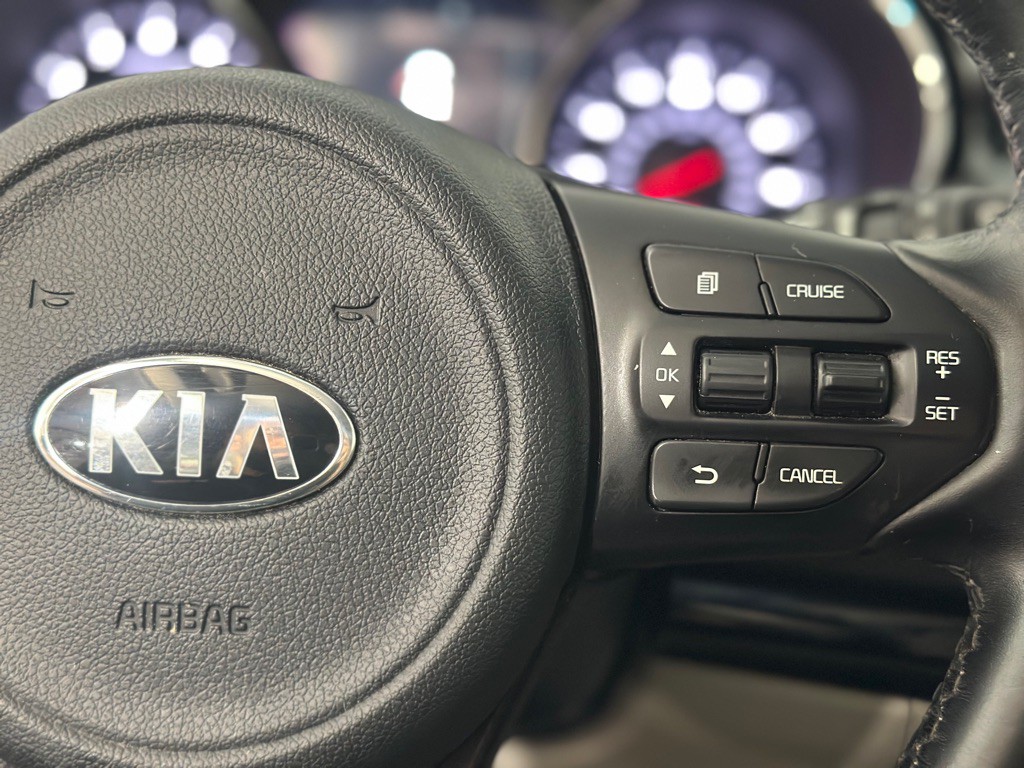 2016 Kia Sedona Image 38
