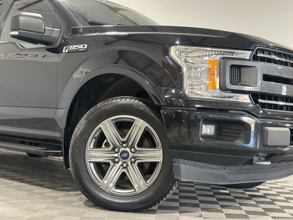 2019 Ford F-150 Image 3