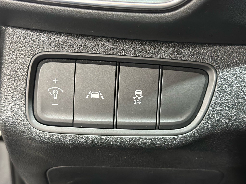 2020 Hyundai Santa Fe Image 21