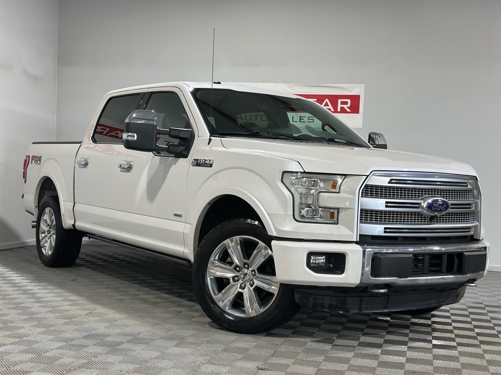 2016 Ford F-150 Image 1