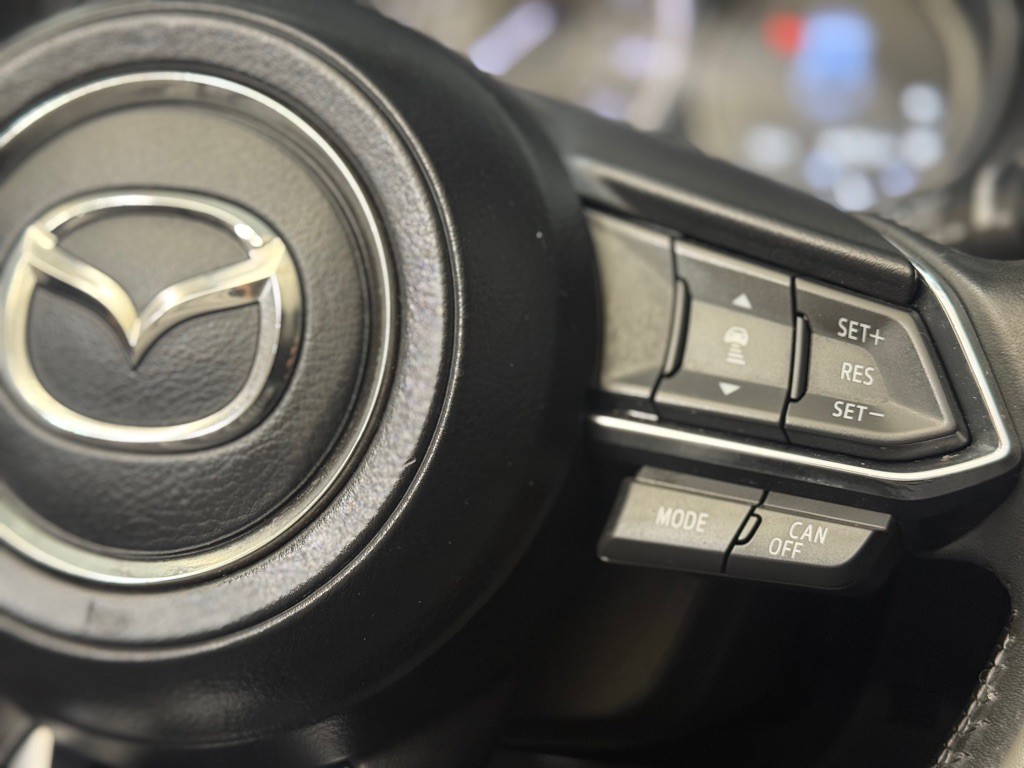 2018 Mazda CX-9 Image 33