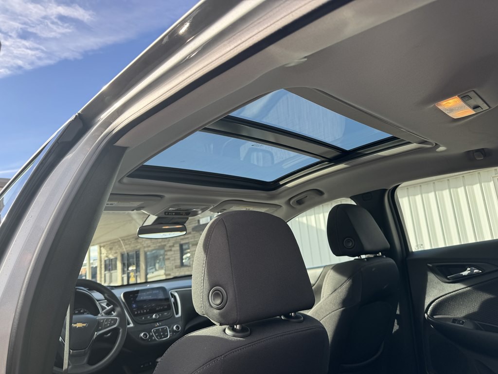 2024 Chevrolet Malibu Image 13