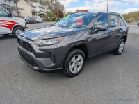 Image for 2019 Toyota Rav4 LE ID: 7359799