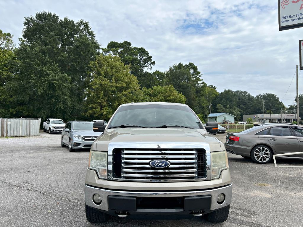 2010 Ford F-150 Image 3