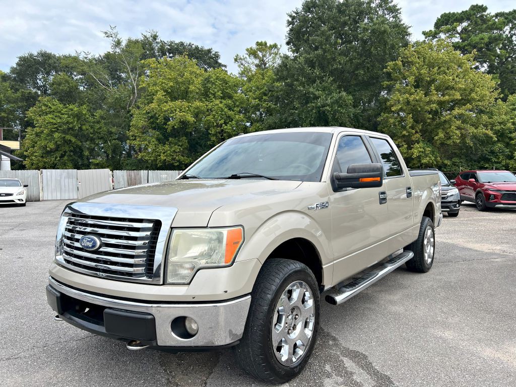 2010 Ford F-150 Image 4