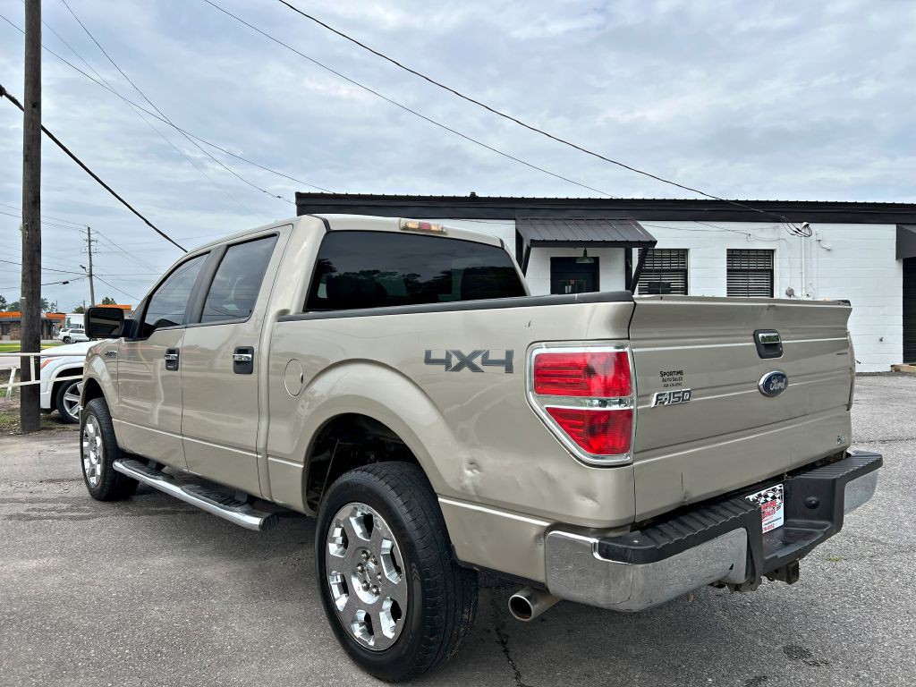 2010 Ford F-150 Image 5