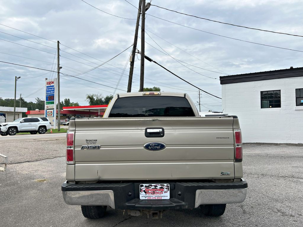 2010 Ford F-150 Image 6