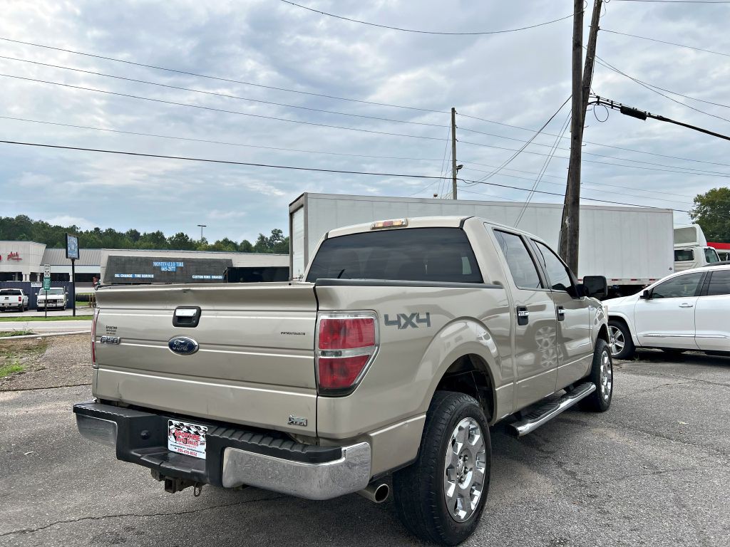 2010 Ford F-150 Image 7