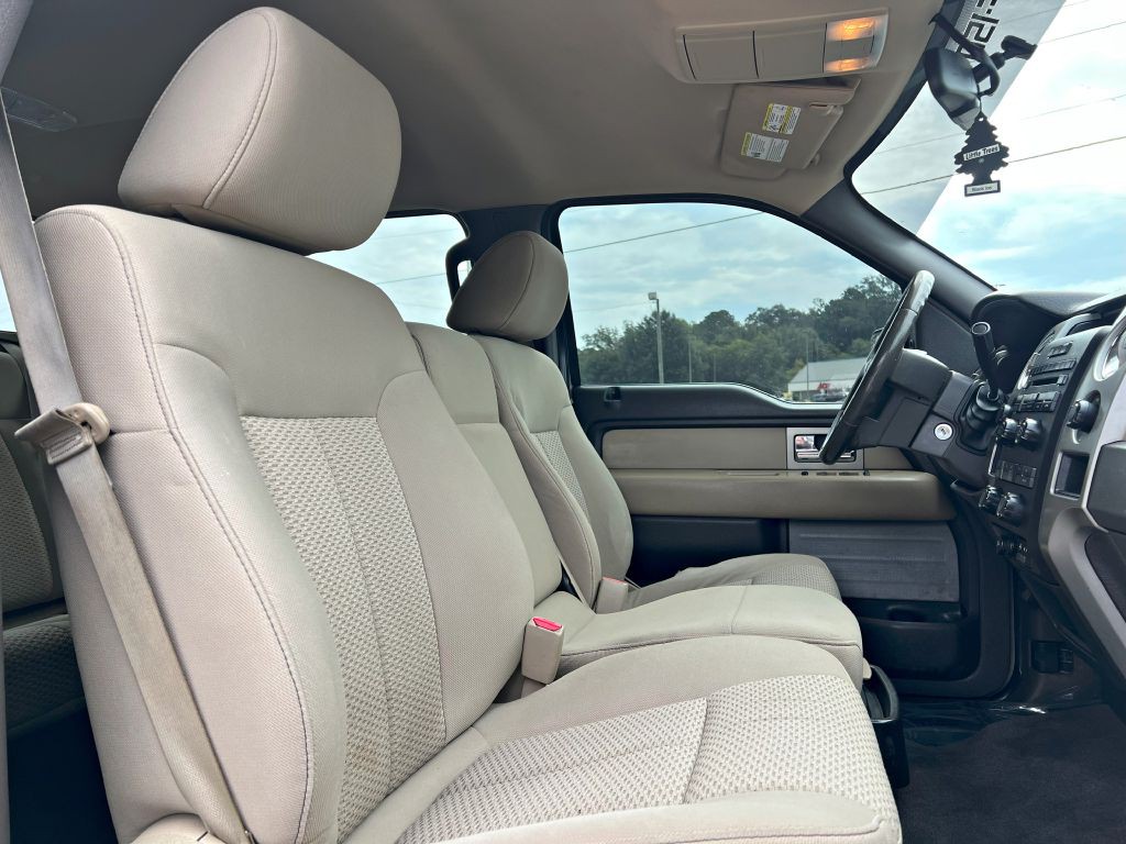 2010 Ford F-150 Image 15