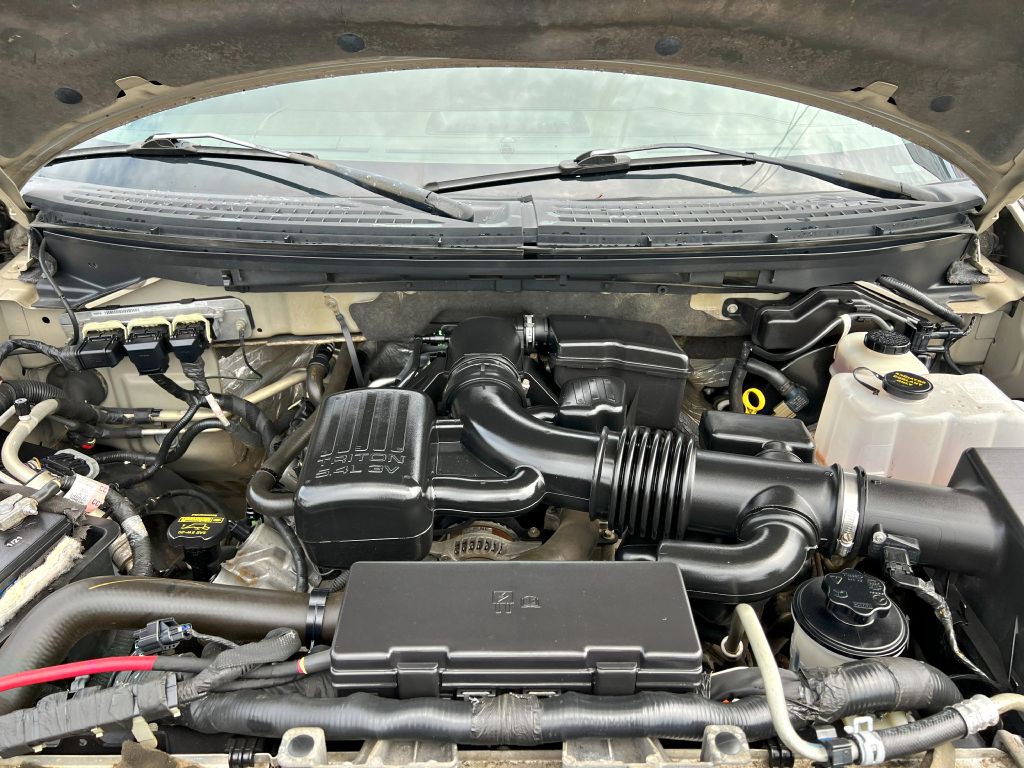 2010 Ford F-150 Image 19