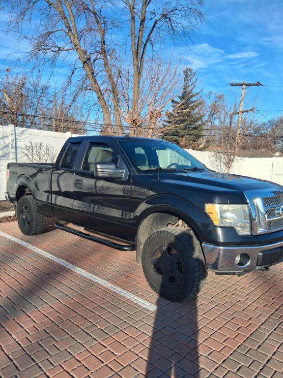 2010 Ford F-150 Image 3