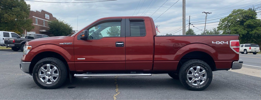 2014 Ford F-150 Image 4