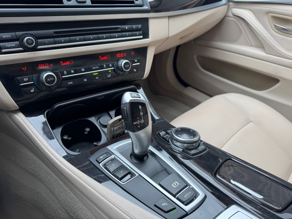 2014 BMW 5 Series Image 19