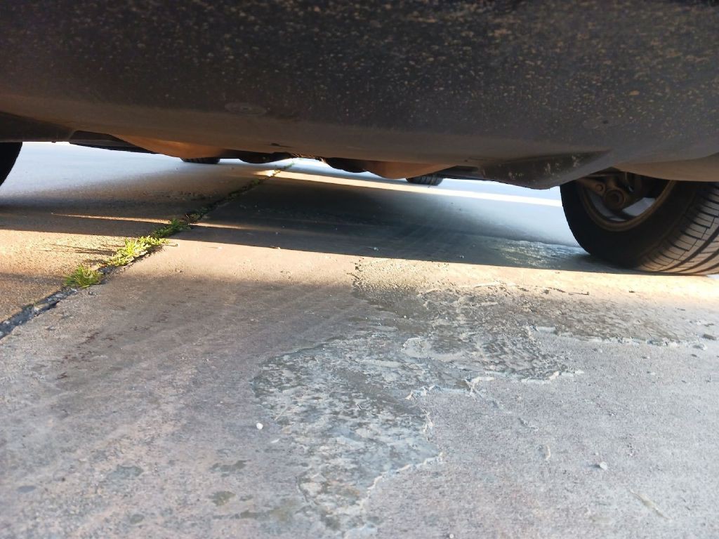 2008 Lexus LS Image 2