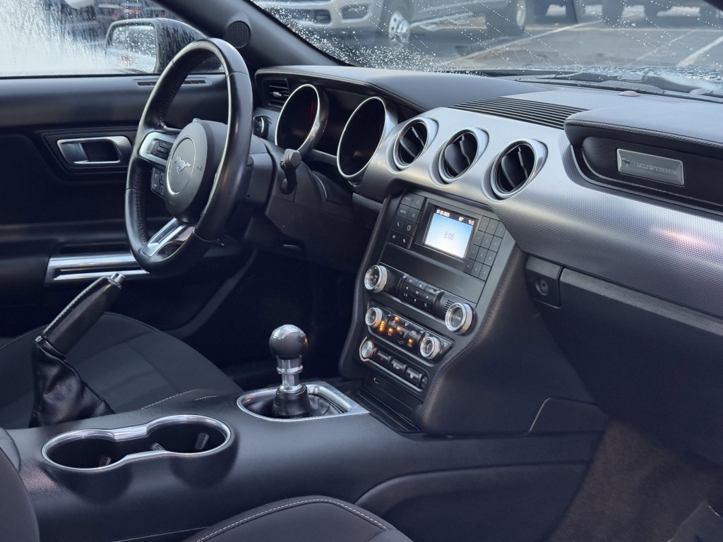 2019 Ford Mustang Image 13