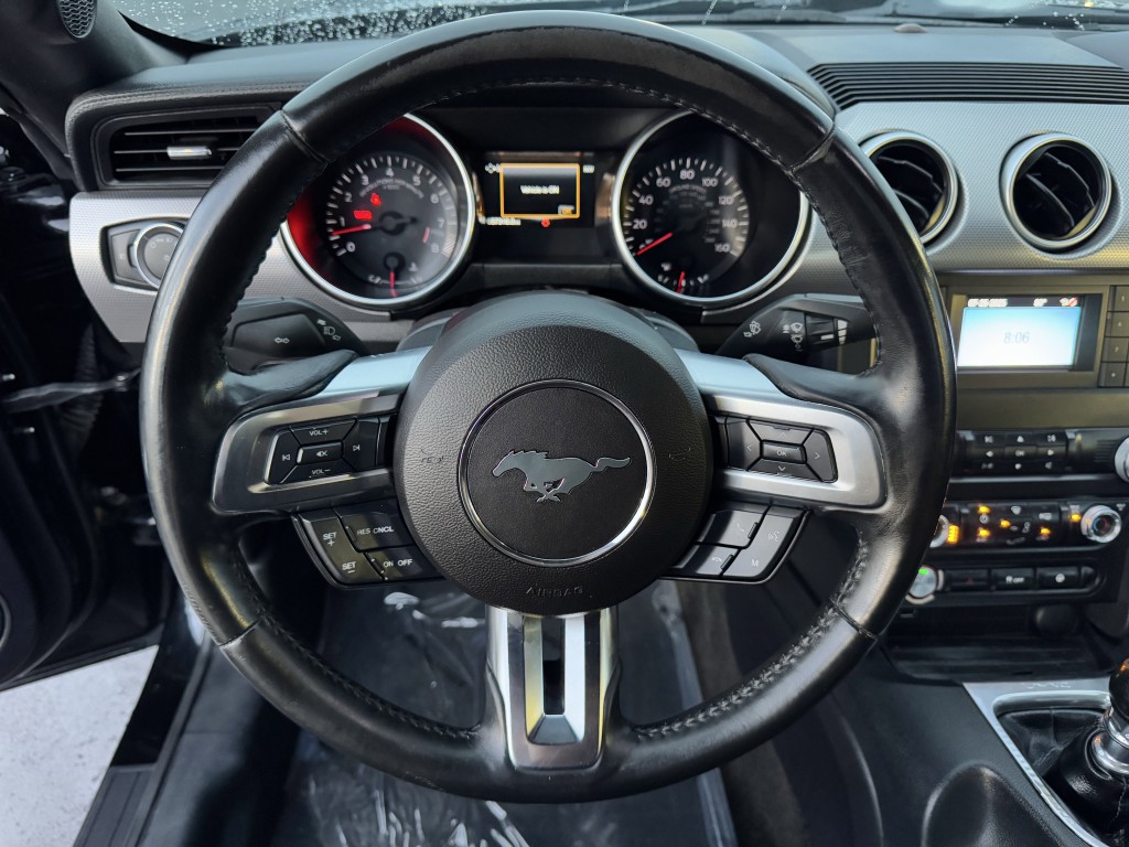2019 Ford Mustang Image 15