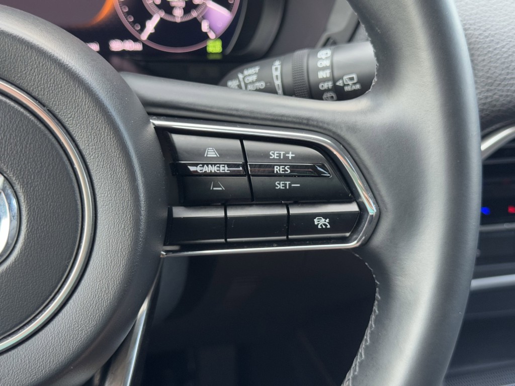 2024 Mazda CX-9 Image 17