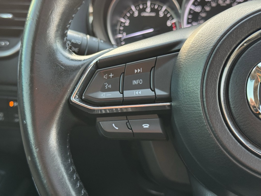 2019 Mazda CX-9 Image 16