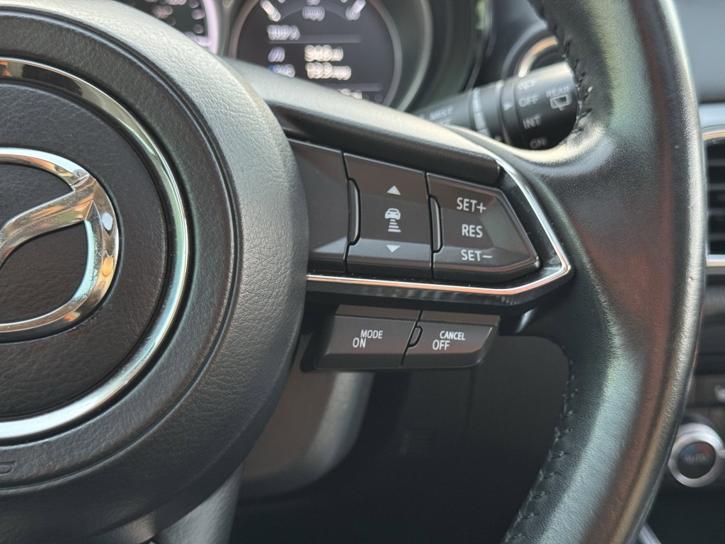 2019 Mazda CX-9 Image 17