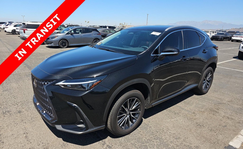2024 Lexus NX Image 1