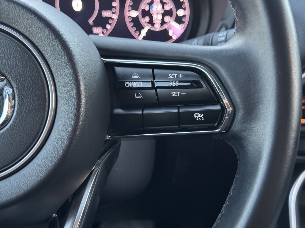 2024 Mazda CX-9 Image 17