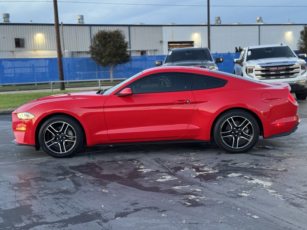 2019 Ford Mustang Image 10
